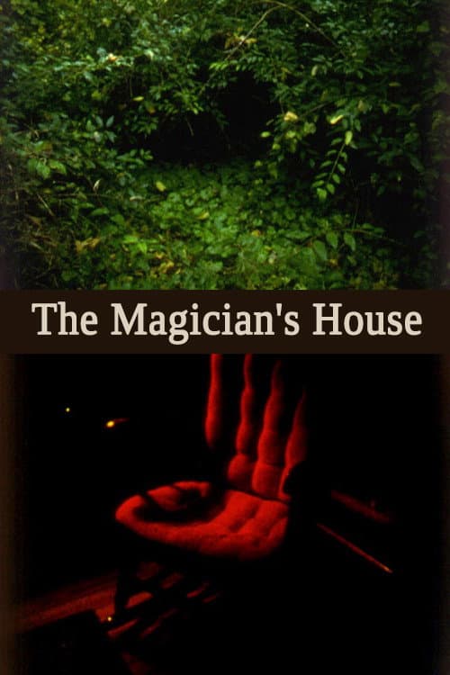 Poster for The Magician's House