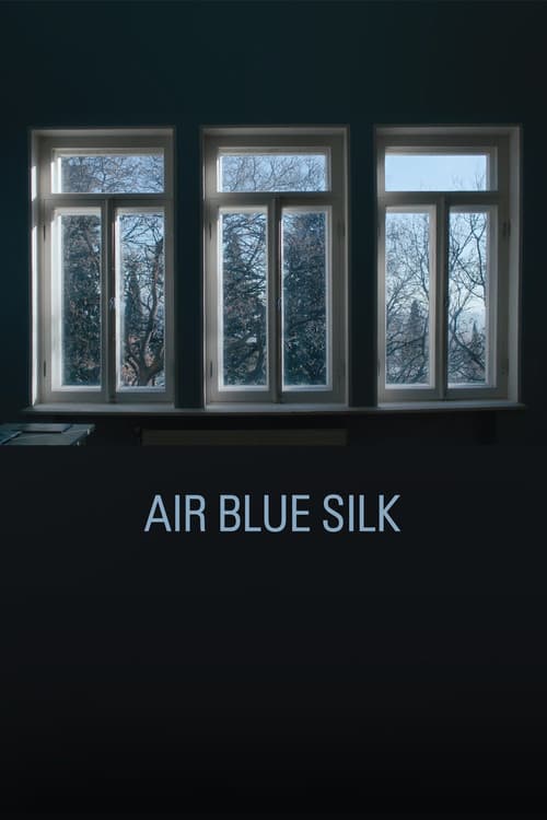Poster for Air Blue Silk