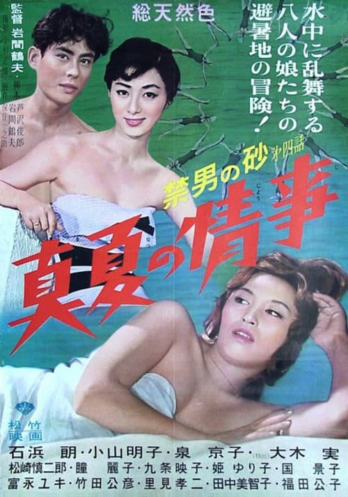 Poster for Princess in Edo