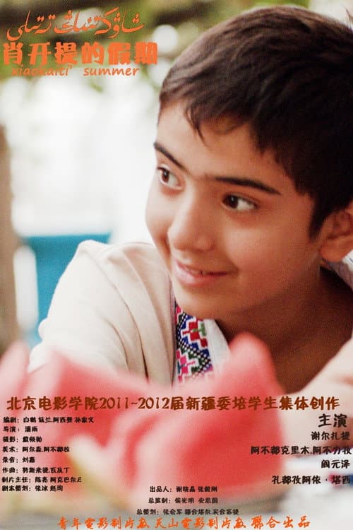 Poster for 肖开提的假期