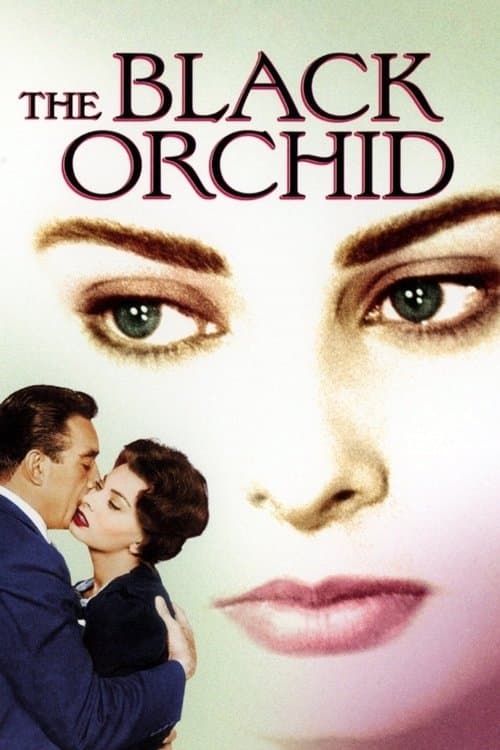 Poster for The Black Orchid