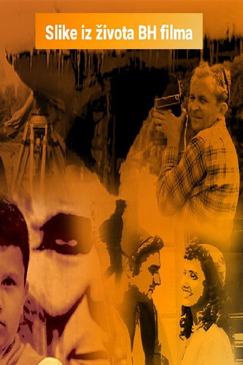 Poster for Scenes from the Life of BH Film
