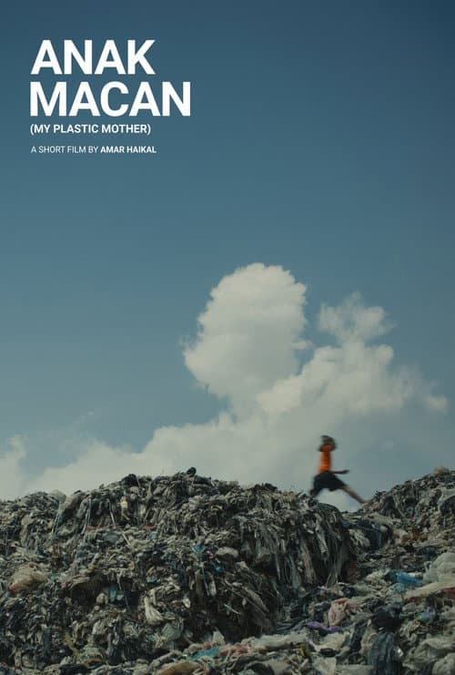Poster for My Plastic Mother