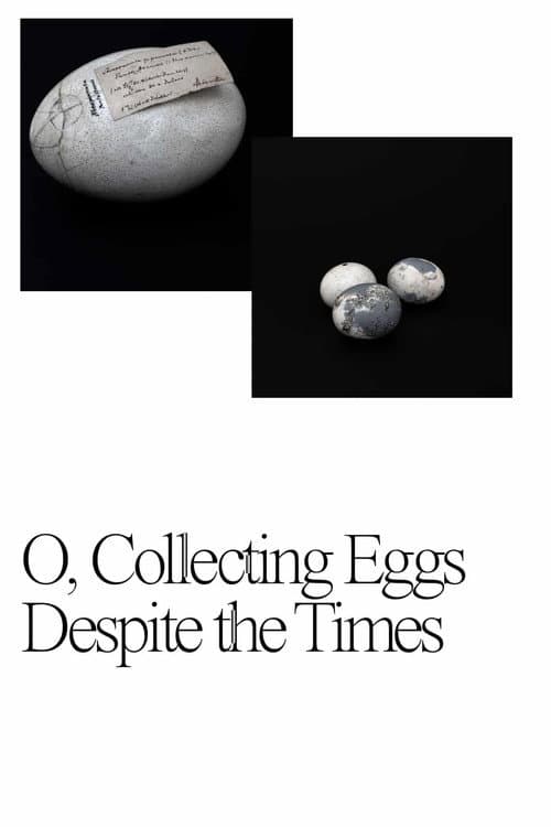 Poster for O, Collecting Eggs Despite the Times