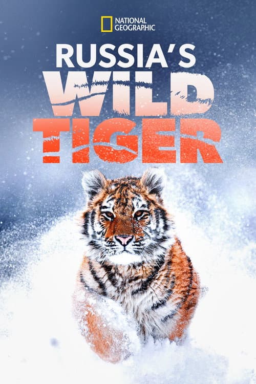 Poster for Russia's Wild Tiger