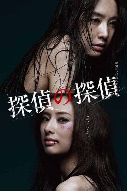 Poster for Detective versus Detectives