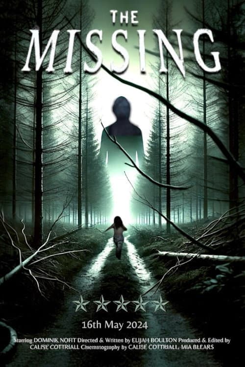 Poster for The Missing