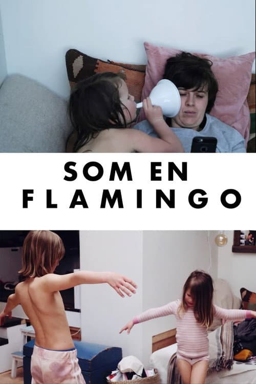 Poster for Som en flamingo