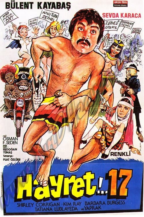 Poster for Hayret 17