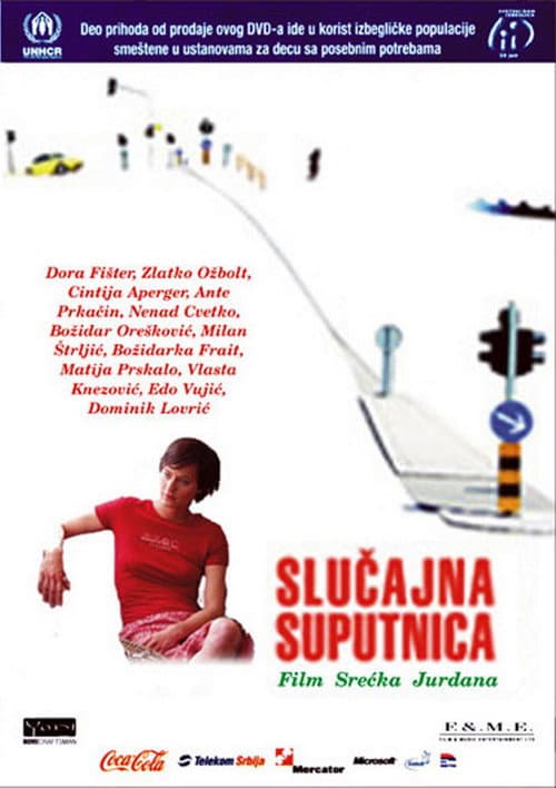 Poster for Accidental Co-Traveller