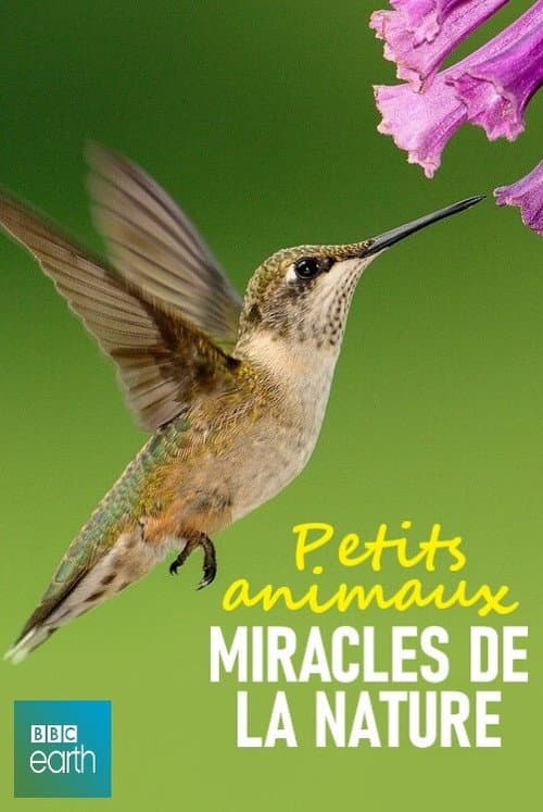 Poster for Petits animaux, miracles de la nature