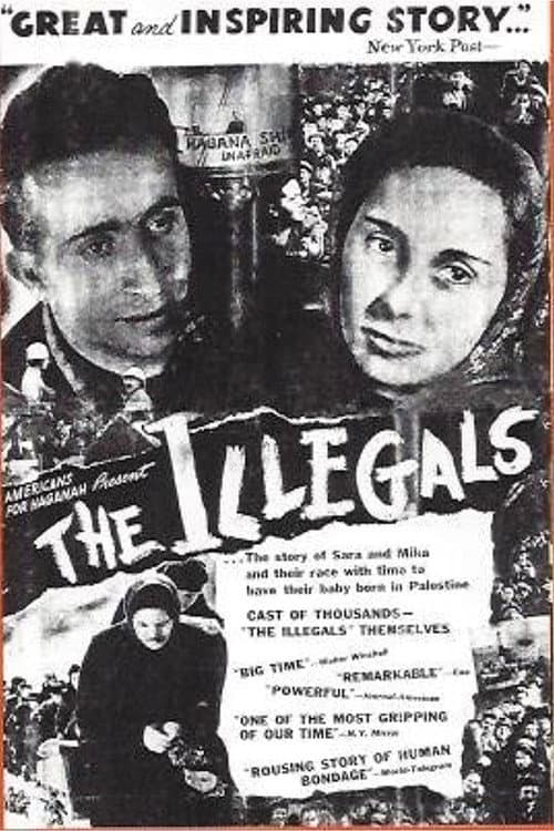 Poster for The Illegals