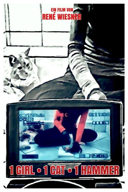 Poster for 1 Girl 1 Cat 1 Hammer