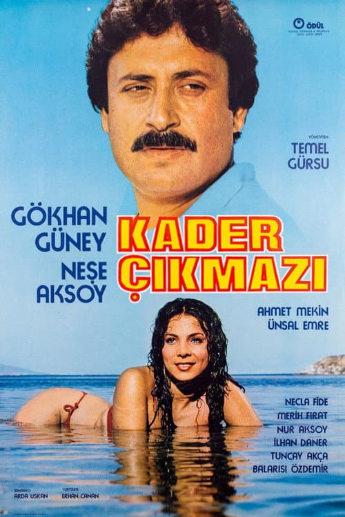 Poster for Kader Çıkmazı