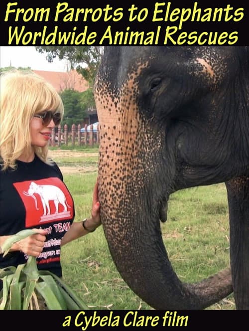 Poster for From Parrots to Elephants: Worldwide Animal Rescues