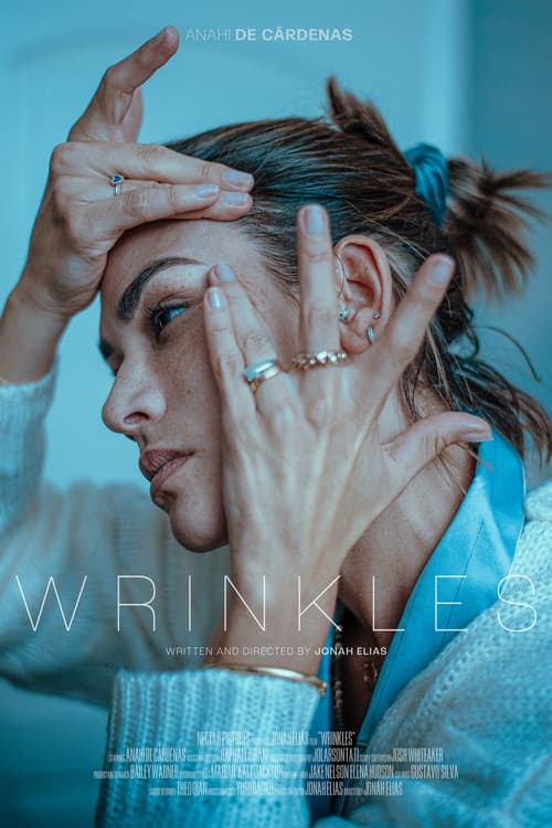 Poster for Wrinkles