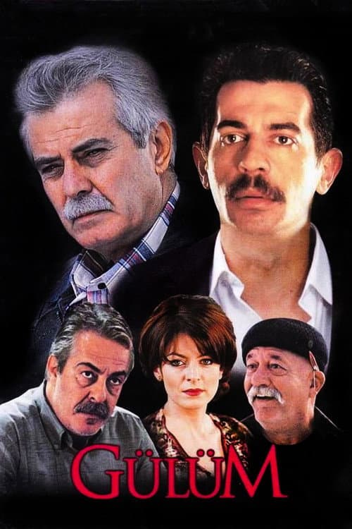 Poster for Gülüm