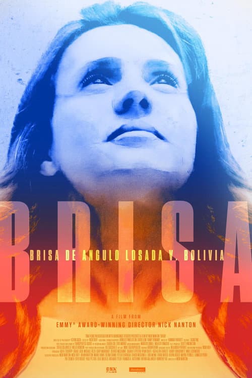 Poster for Brisa