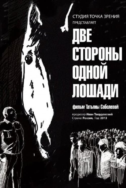 Poster for Two Sides of One Horse