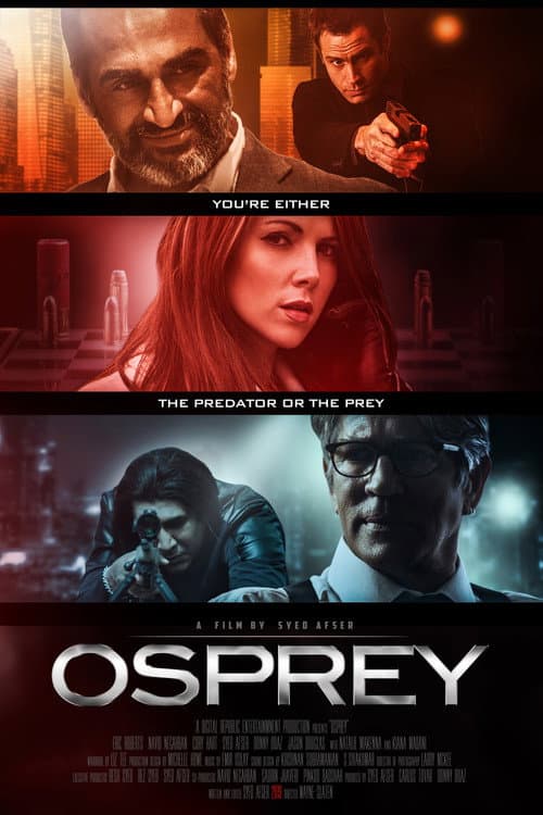 Poster for Osprey