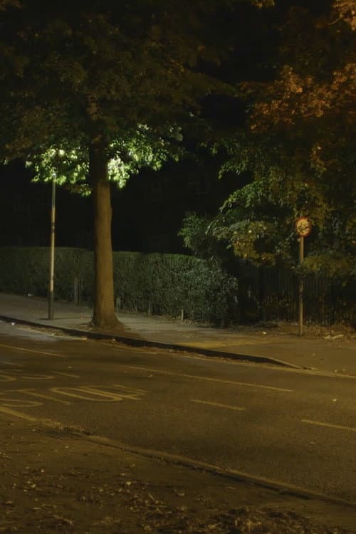 Poster for Canon: Urban Deer