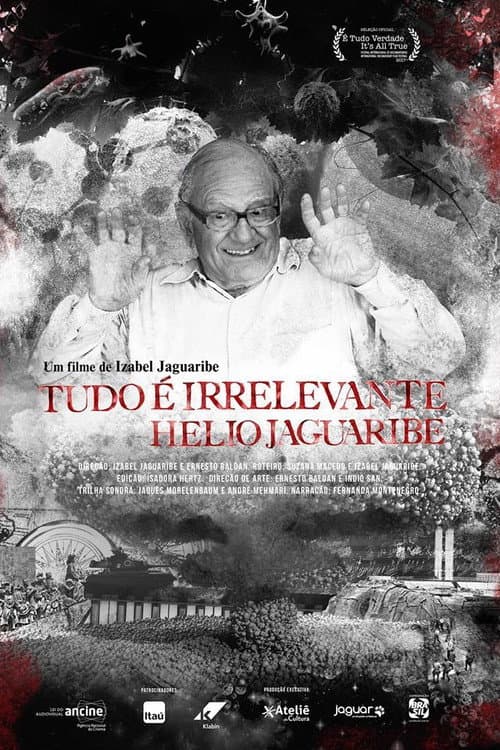 Poster for Tudo é Irrelevante. Hélio Jaguaribe