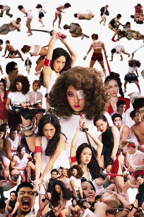 Poster for The Women's Revenge