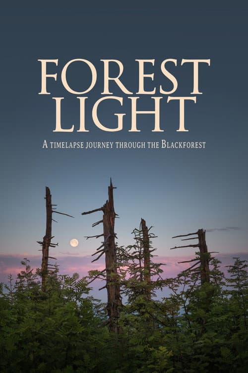Poster for Forest Light