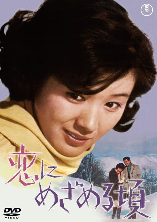 Poster for When Love Awakens