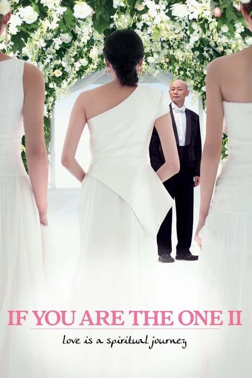 Poster for If You Are the One 2