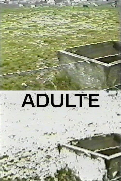 Poster for Adulte