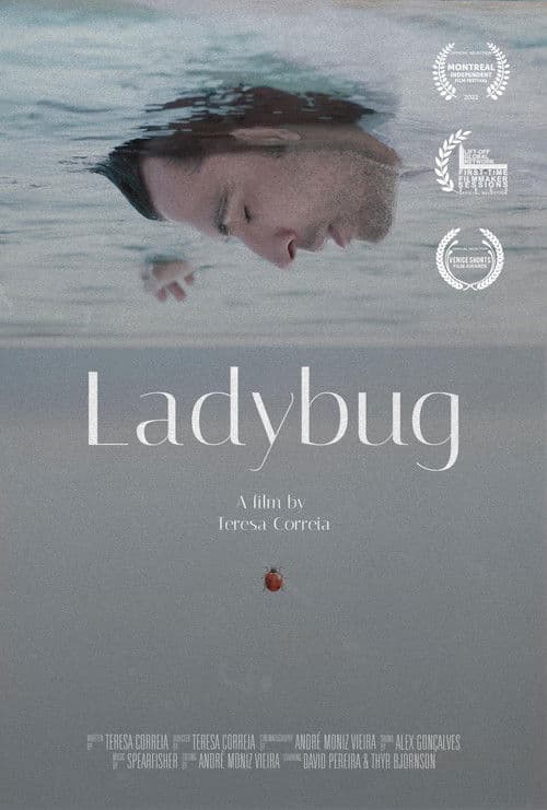 Poster for Ladybug