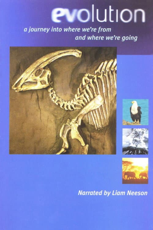 Poster for Evolution - Darwin's Dangerous Idea