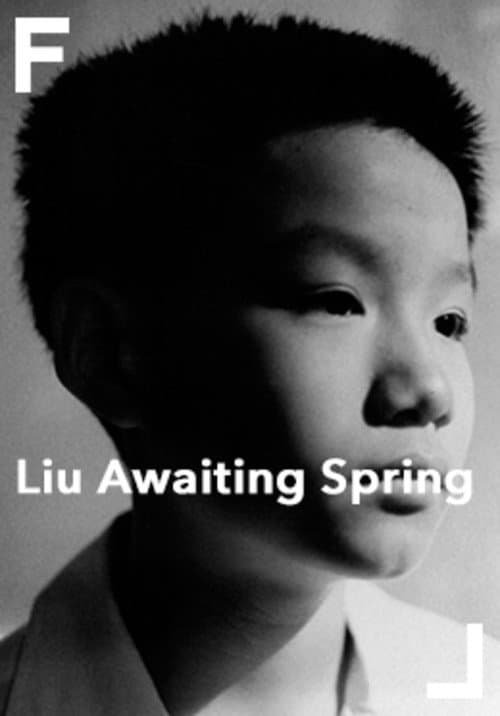 Poster for Liu Awaiting Spring