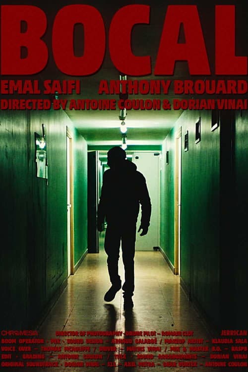 Poster for Bocal