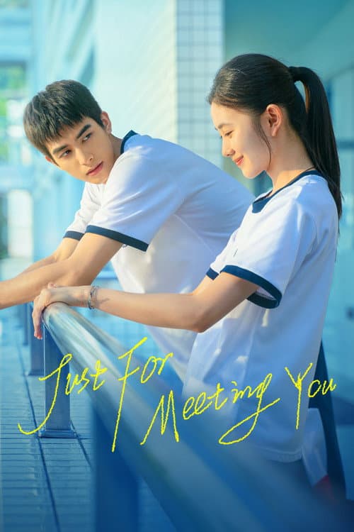 Poster for Just For Meeting You