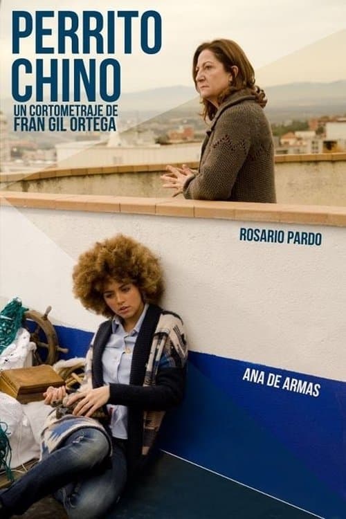 Poster for Perrito Chino