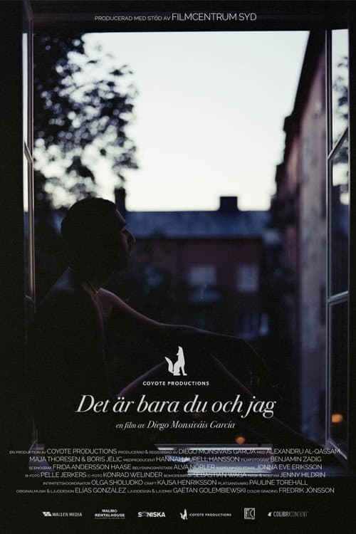 Poster for Det är bara du och jag