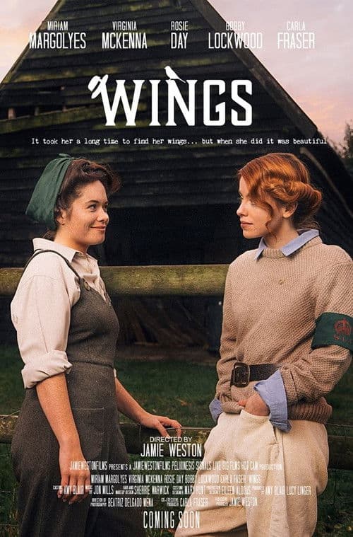 Poster for Wings