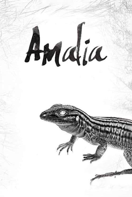 Poster for Amalia