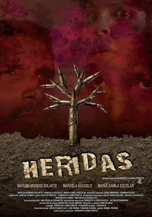 Poster for Heridas