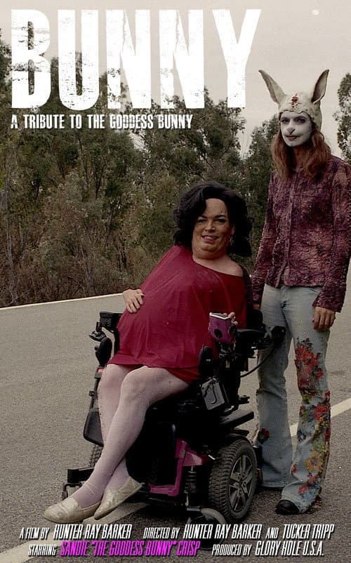 Poster for Bunny