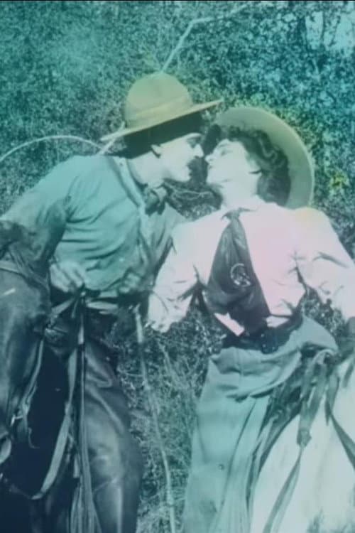 Poster for The Cowboy and the Schoolmarm