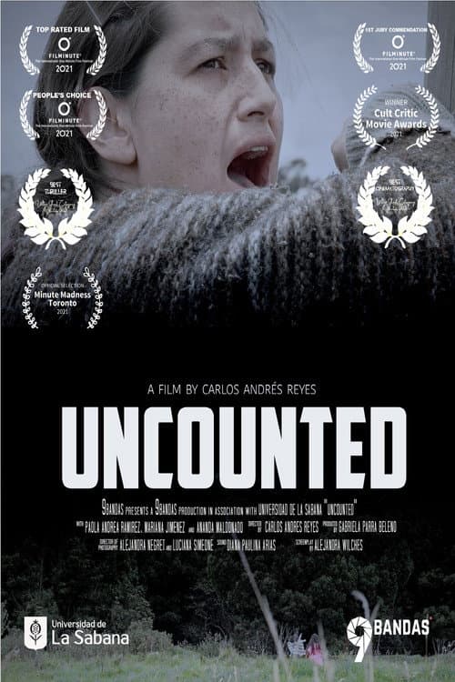 Poster for Uncounted