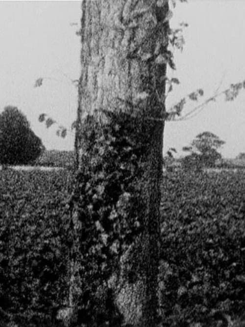 Poster for Treeline