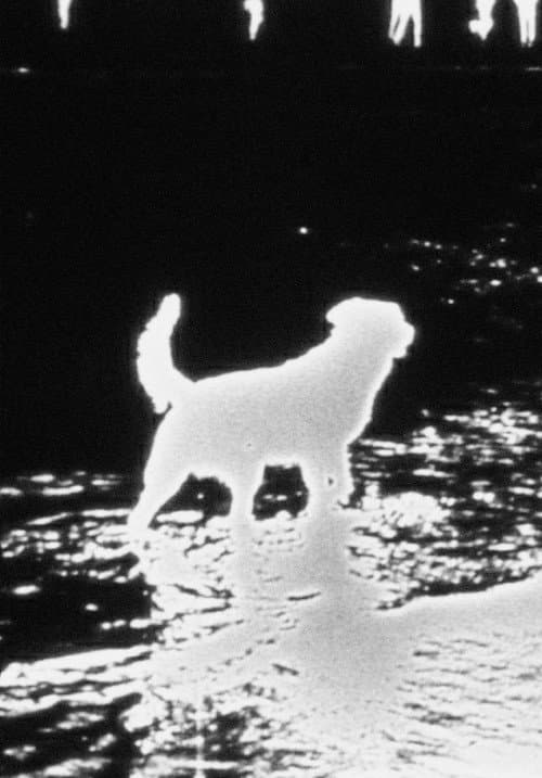 Poster for Waterfall