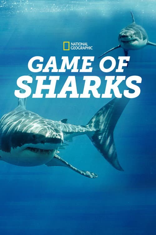 Poster for Game of Sharks
