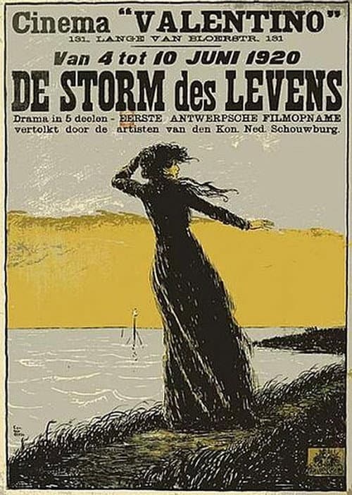 Poster for The Storm in Life