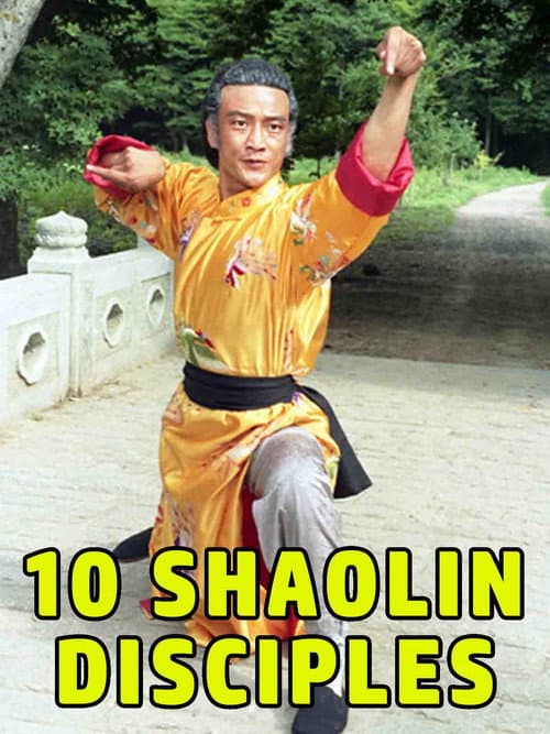 Poster for Shaolin Teenage Heroines
