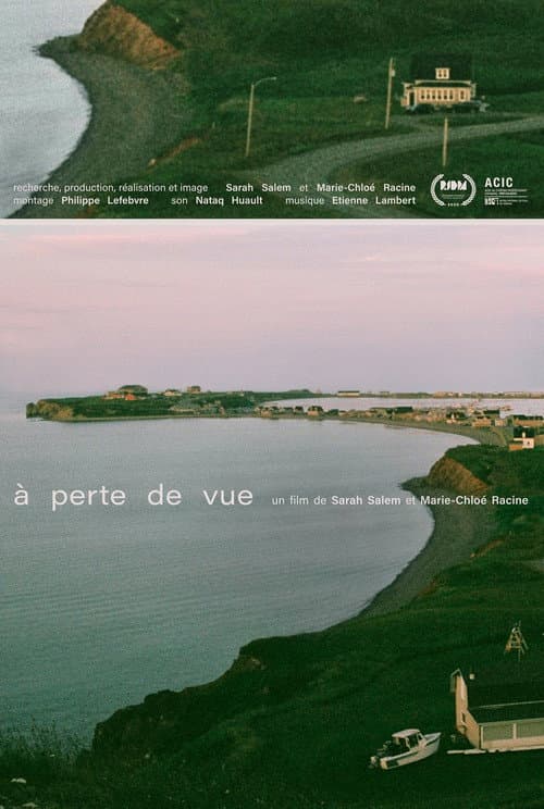 Poster for Vanishing Point